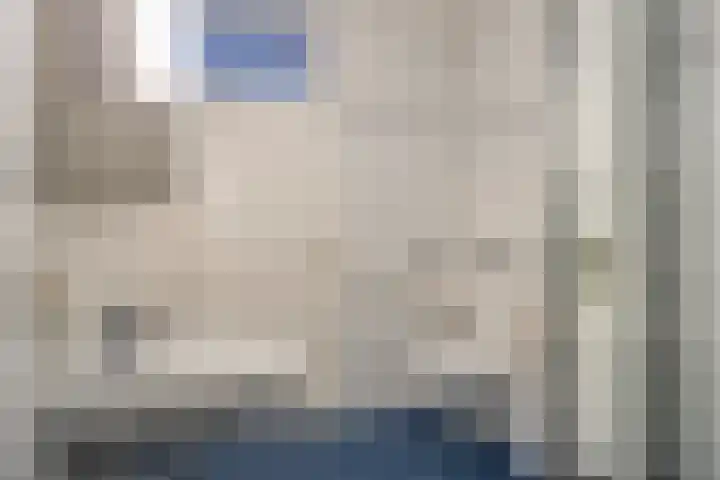 De Kwikstaart 22 Budel thumbnail 14