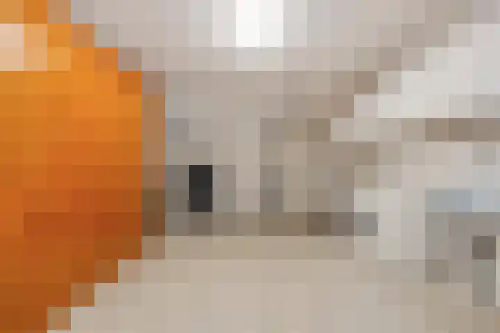 De Kwikstaart 22 Budel thumbnail 16