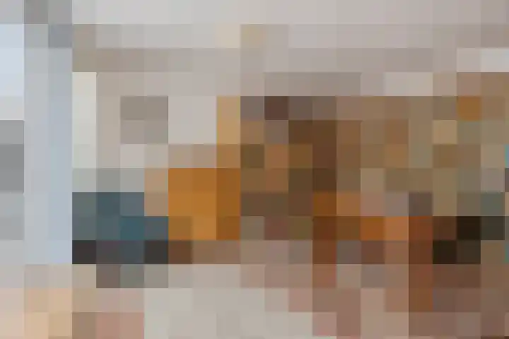 De Kwikstaart 22 Budel thumbnail 19