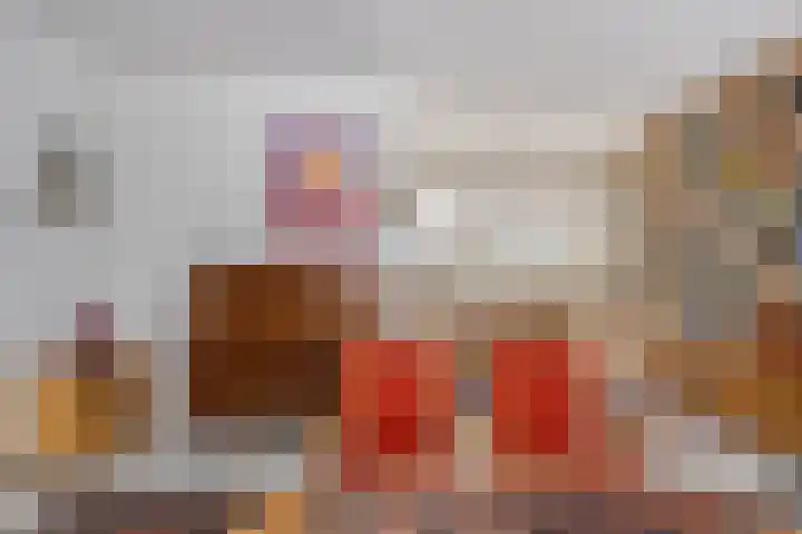 De Kwikstaart 22 Budel foto 2