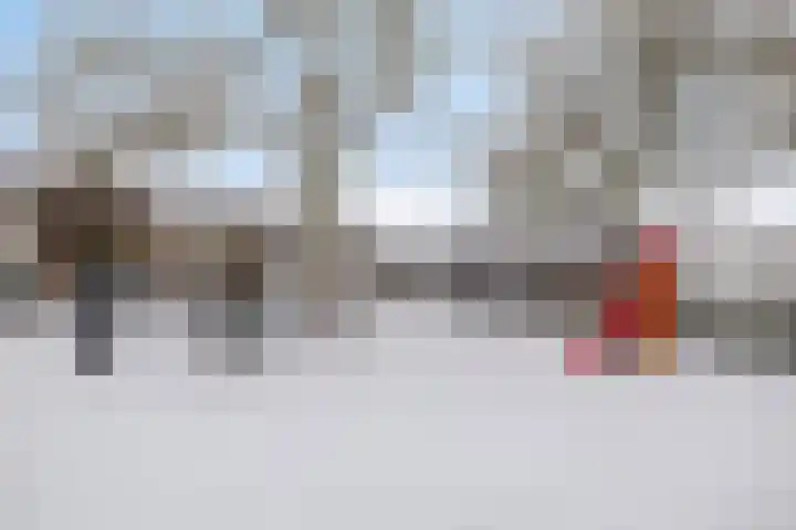 De Kwikstaart 22 Budel thumbnail 24