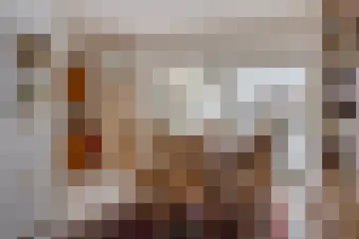 De Kwikstaart 22 Budel thumbnail 5