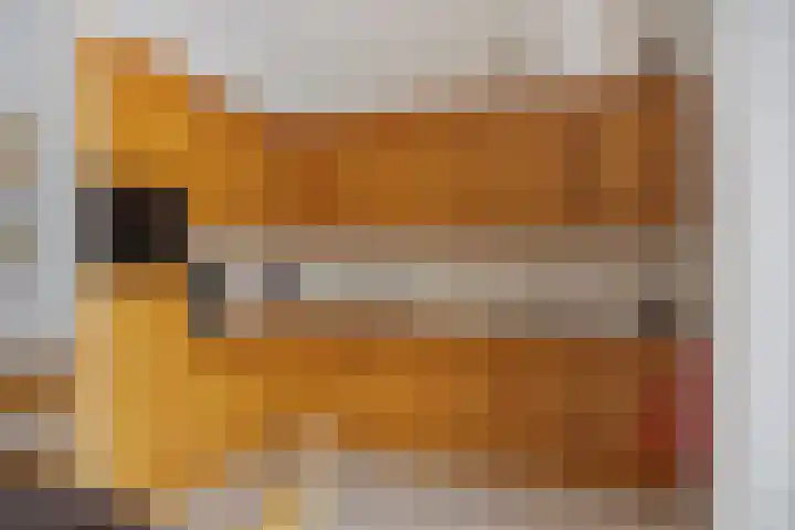 De Kwikstaart 22 Budel thumbnail 7