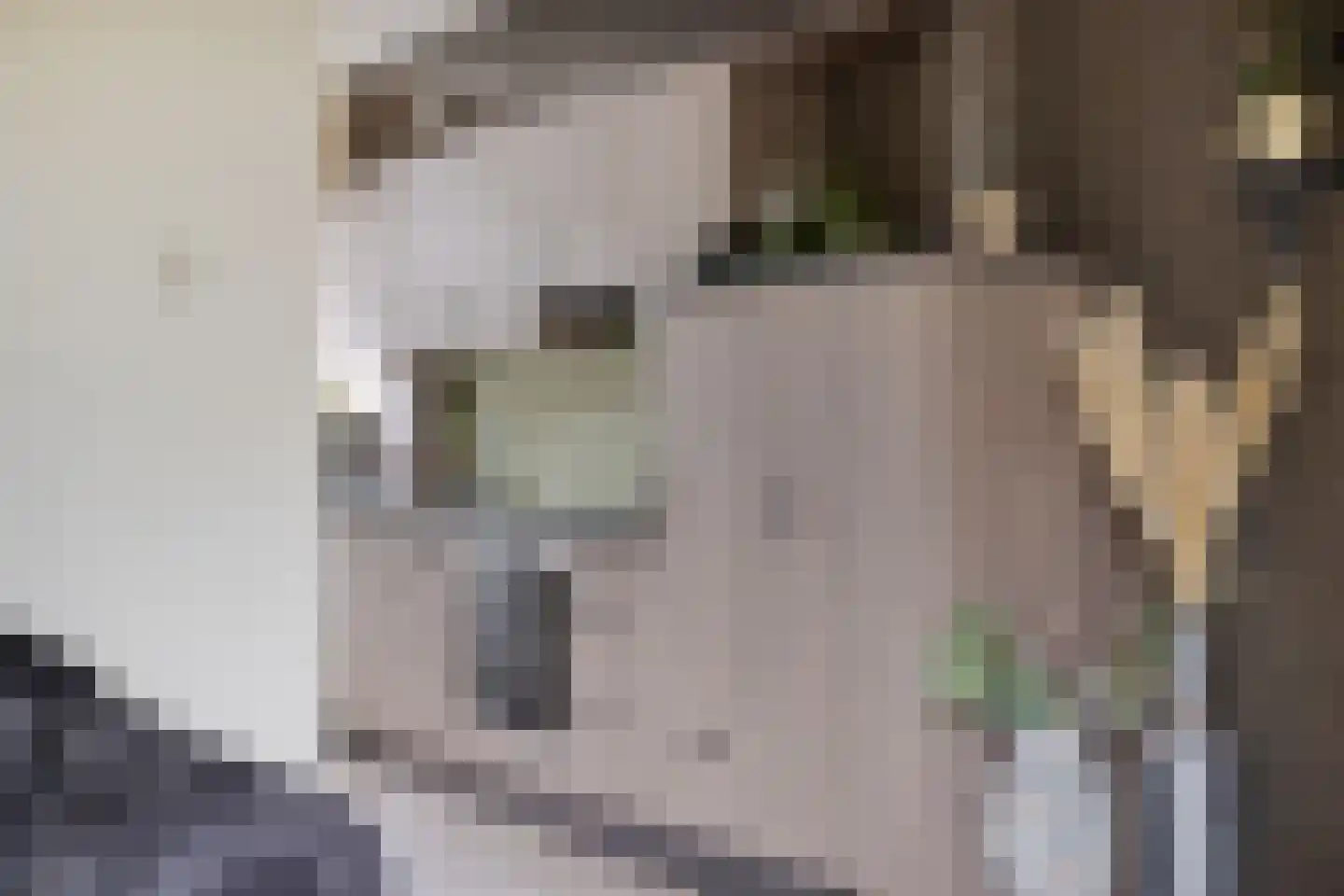 De Kwikstaart 40 Hoogeveen thumbnail 10