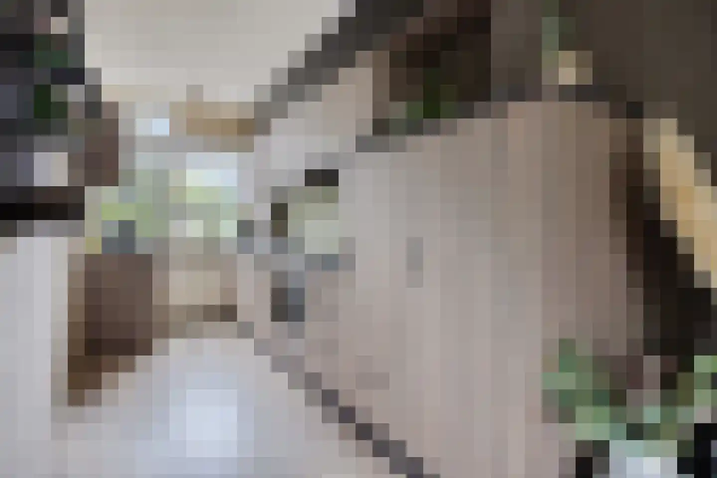 De Kwikstaart 40 Hoogeveen thumbnail 11