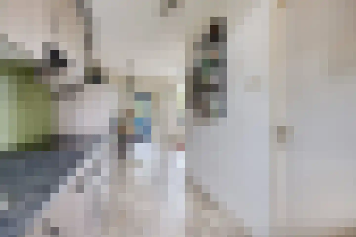 De Kwikstaart 40 Hoogeveen thumbnail 12