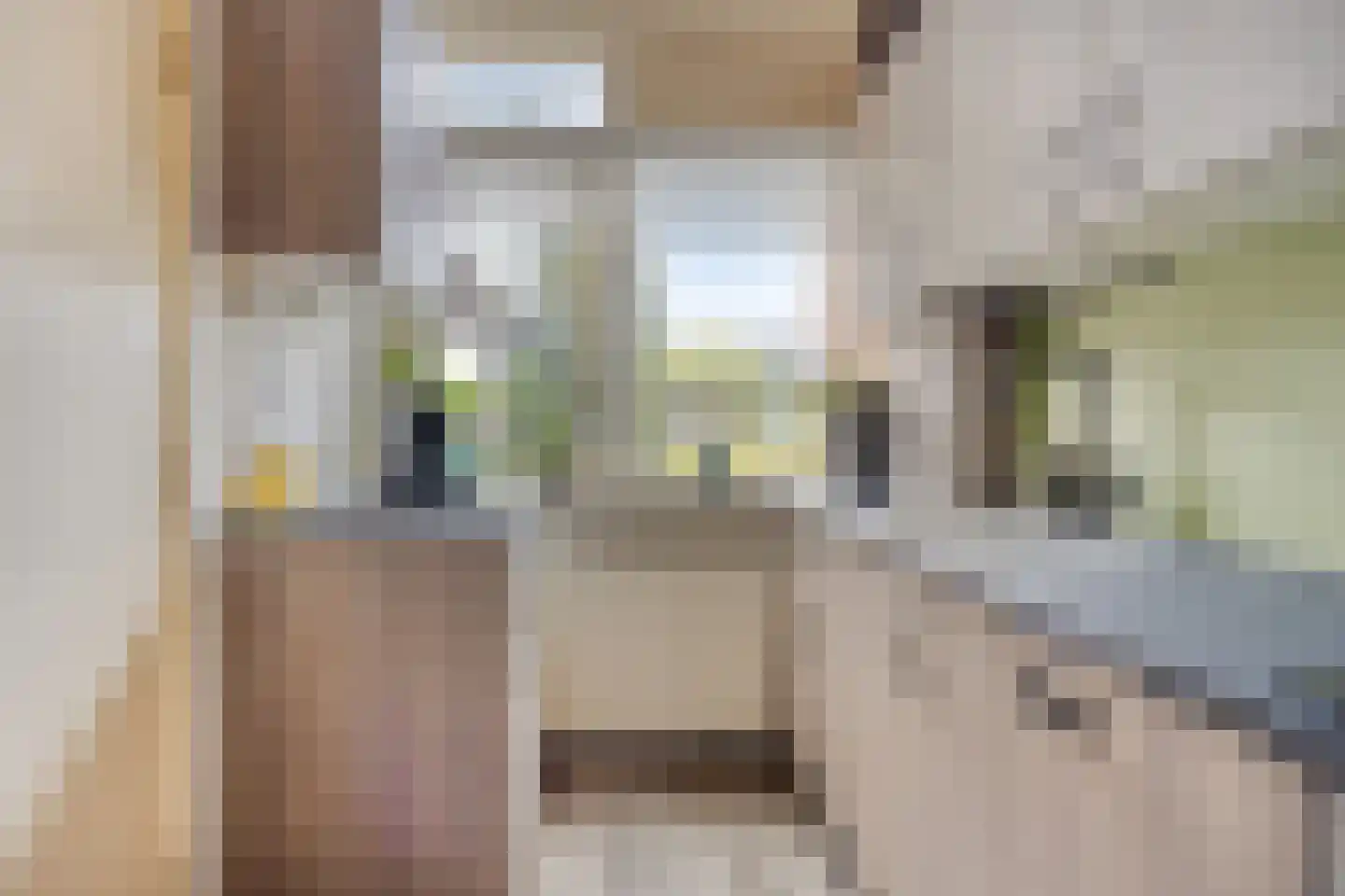 De Kwikstaart 40 Hoogeveen thumbnail 13