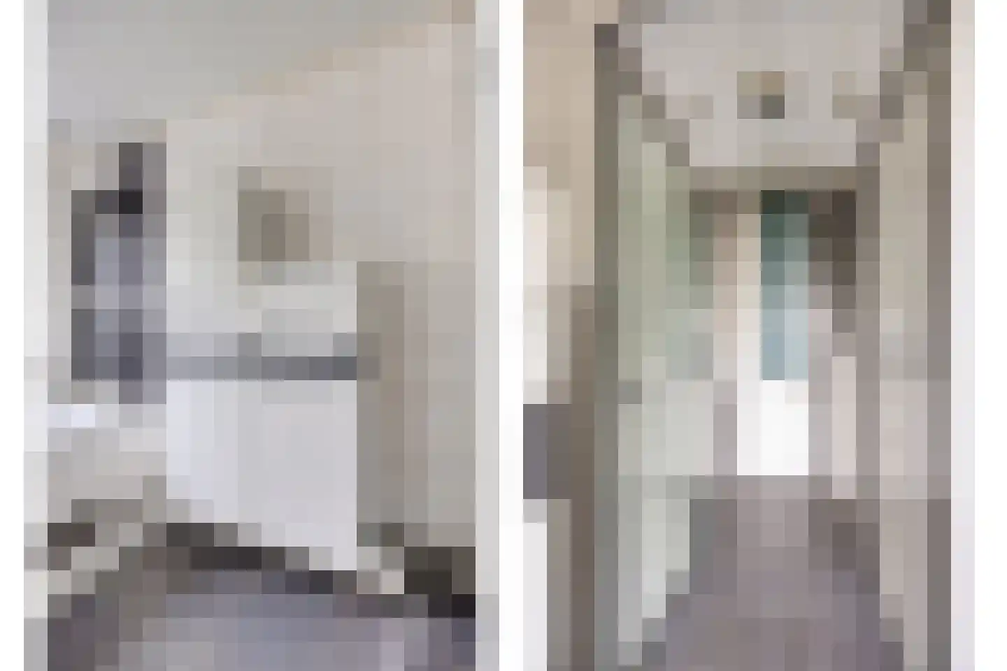 De Kwikstaart 40 Hoogeveen thumbnail 21