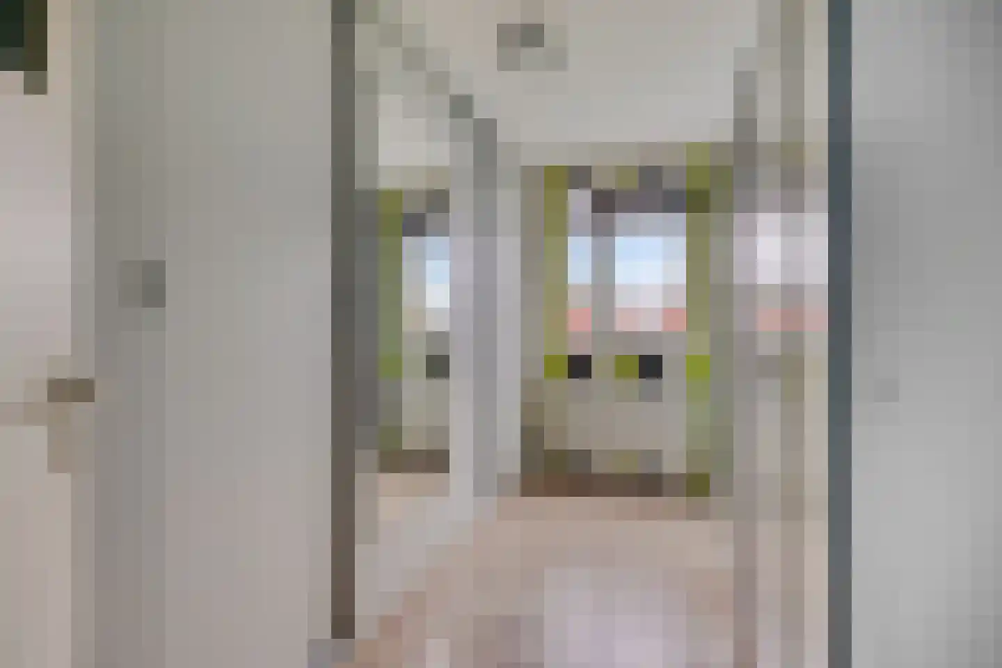 De Kwikstaart 40 Hoogeveen thumbnail 22