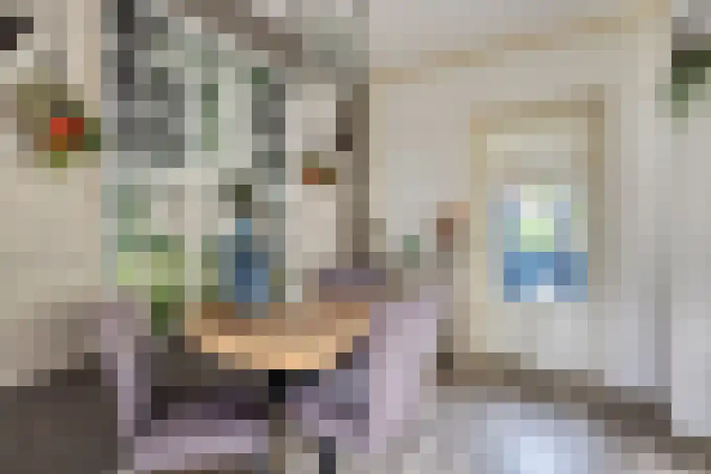 De Kwikstaart 40 Hoogeveen thumbnail 5