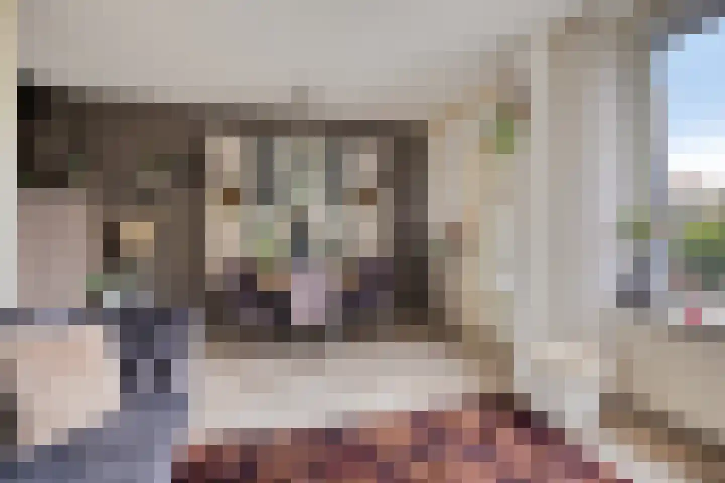 De Kwikstaart 40 Hoogeveen thumbnail 7