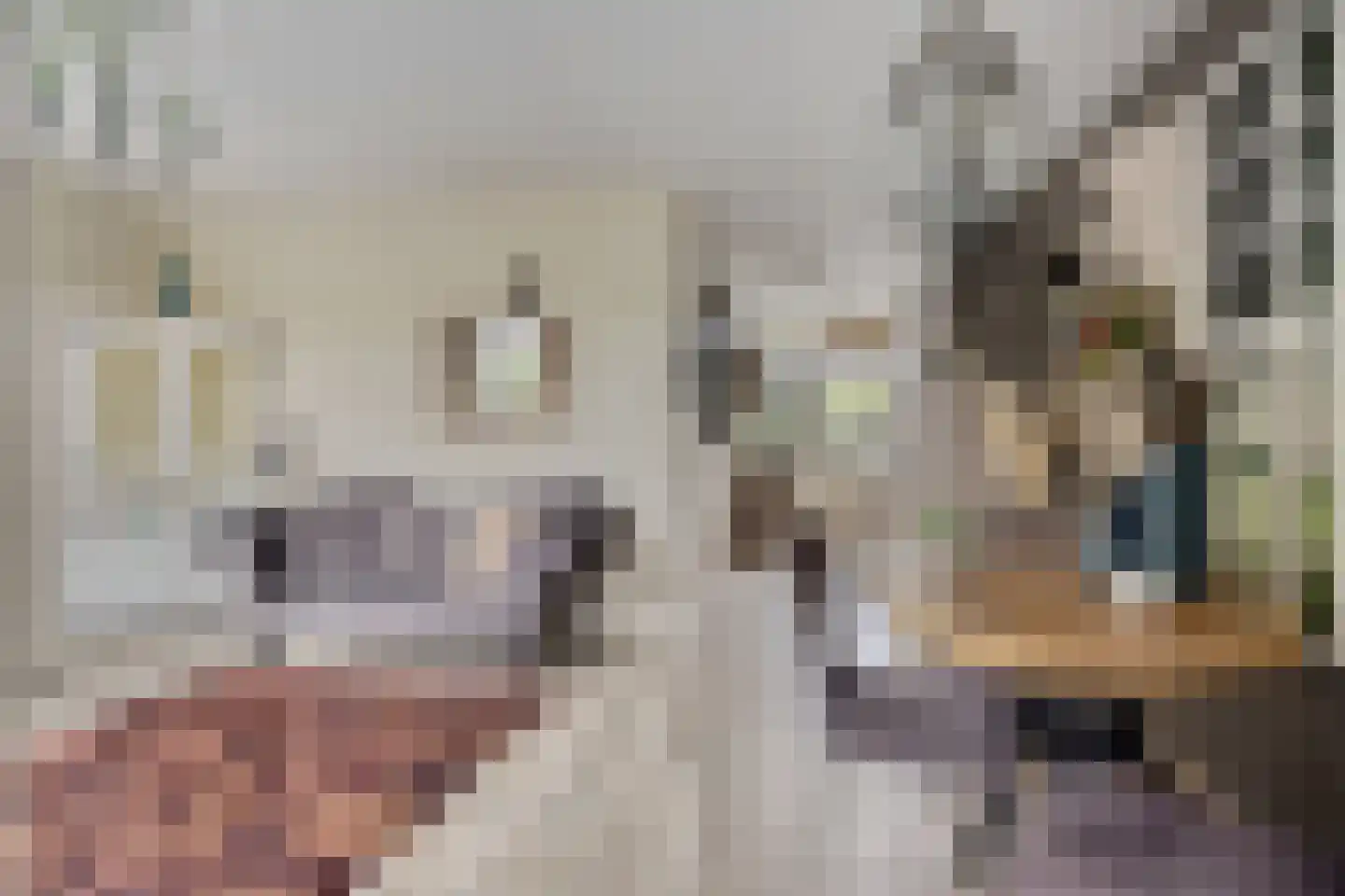 De Kwikstaart 40 Hoogeveen thumbnail 9