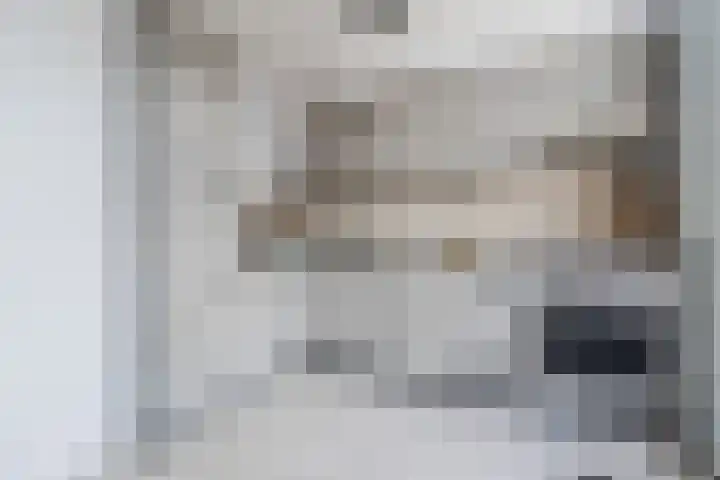De Kwikstaart 43 Hoogeveen thumbnail 10