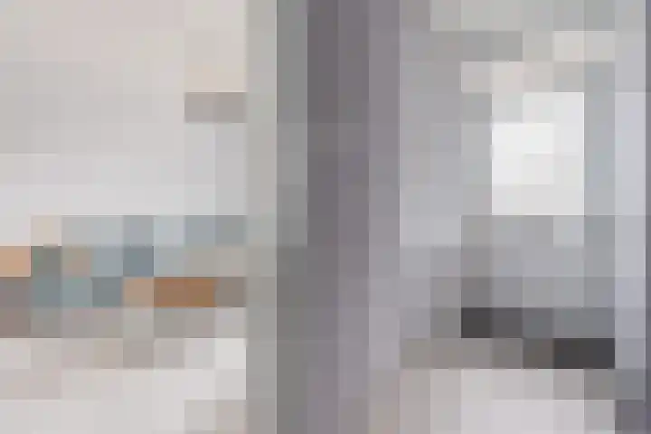 De Kwikstaart 43 Hoogeveen thumbnail 11