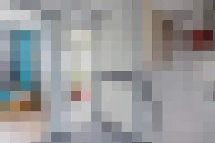 De Kwikstaart 43 Hoogeveen thumbnail 22