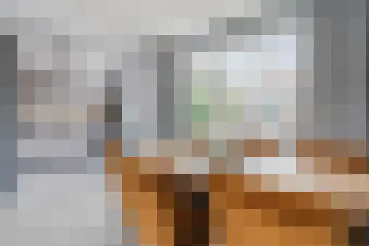 De Kwikstaart 43 Hoogeveen thumbnail 8