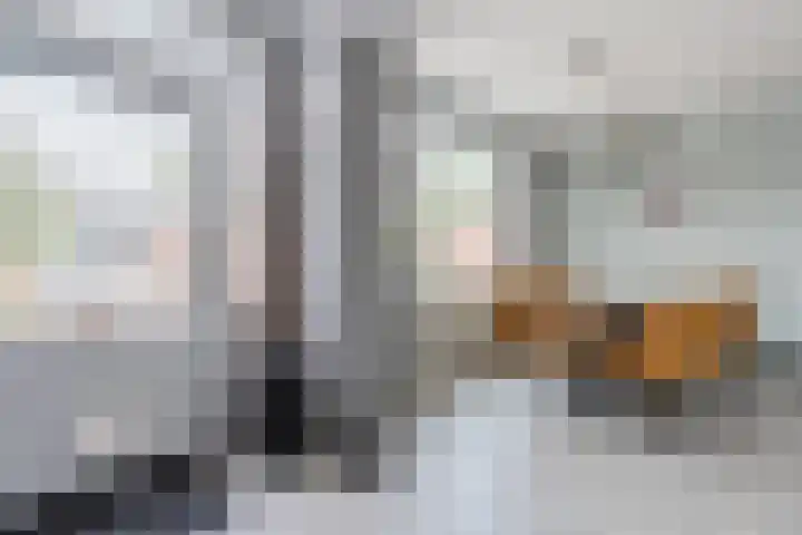 De Kwikstaart 43 Hoogeveen thumbnail 9