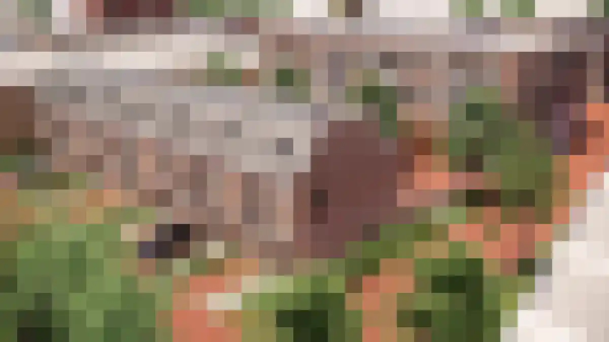 De Kwinkelier 43 D Bilthoven thumbnail 5