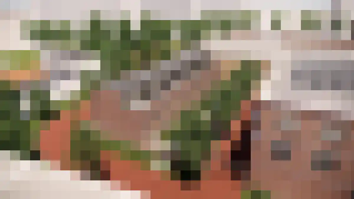 De Kwinkelier 43 D Bilthoven thumbnail 6