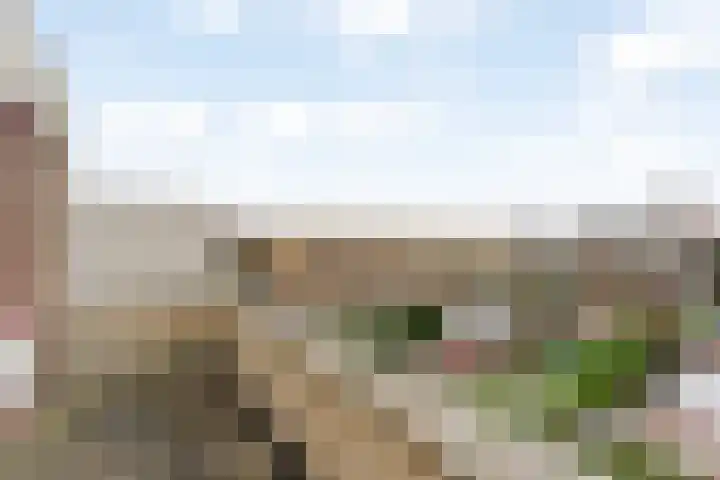 de la Bassecour Caanstraat 125 Noordwijk thumbnail 20