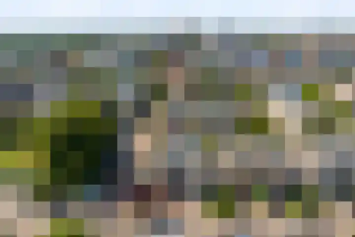 de la Bassecour Caanstraat 147 Noordwijk thumbnail 4