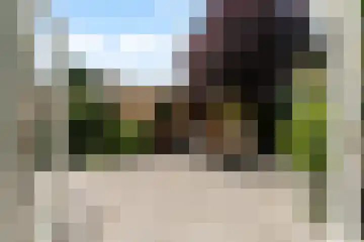 de la Bassecour Caanstraat 147 Noordwijk thumbnail 8