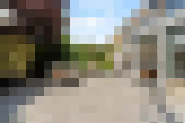 de la Bassecour Caanstraat 147 Noordwijk thumbnail 9
