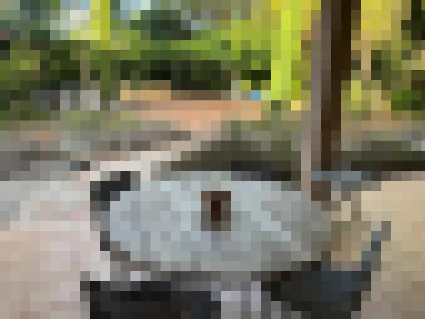 De la Gardestraat 1 Zoetermeer thumbnail 6