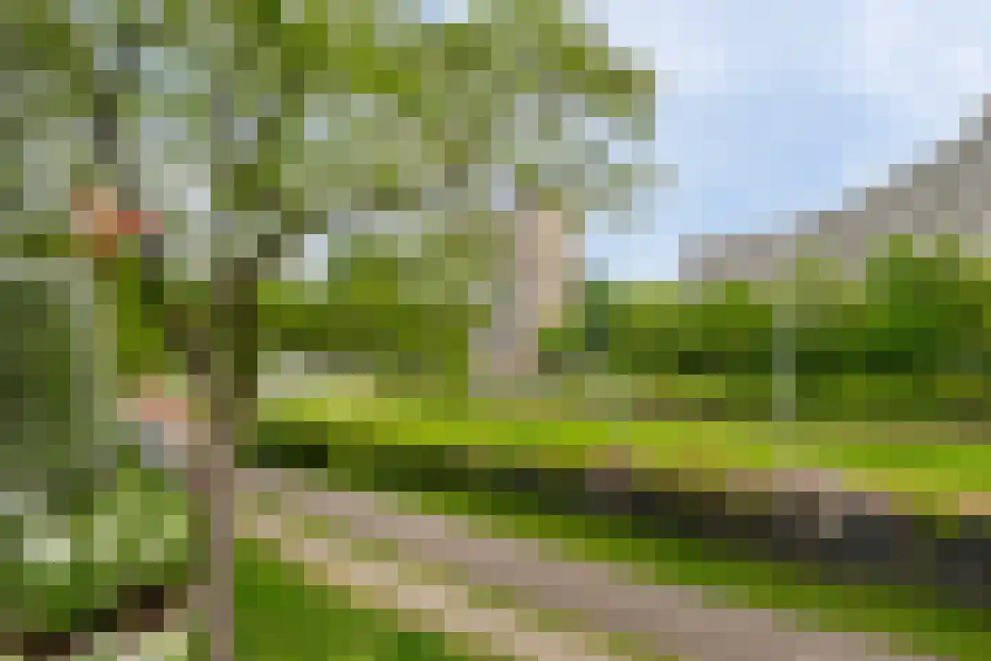 De la Marplein 26 Schiedam thumbnail 16