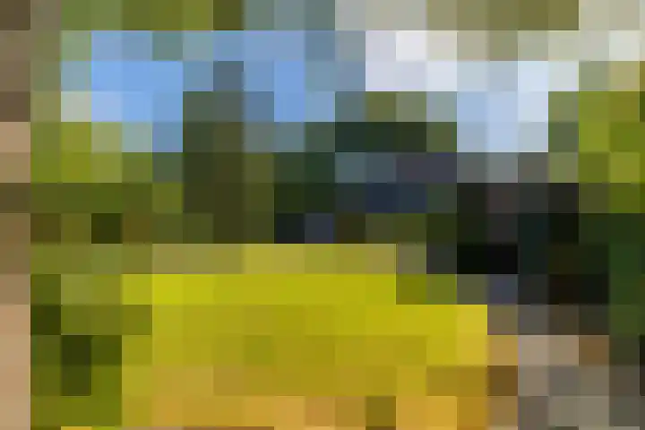 De la Marplein 31 Schiedam thumbnail 23