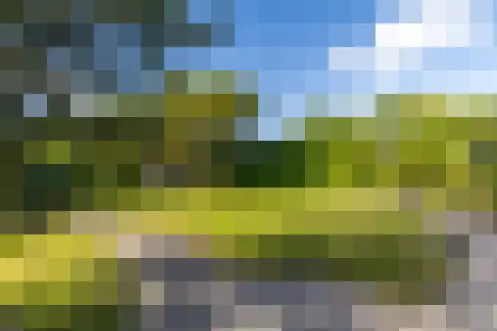 De la Marplein 31 Schiedam thumbnail 24