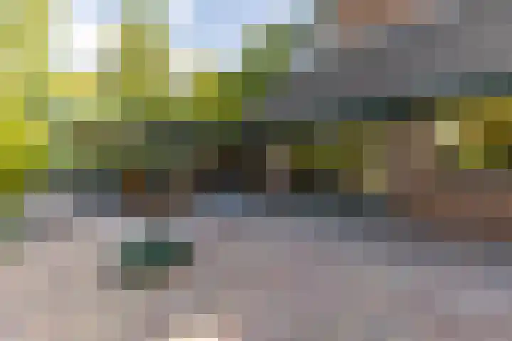 De la Marplein 31 Schiedam thumbnail 26