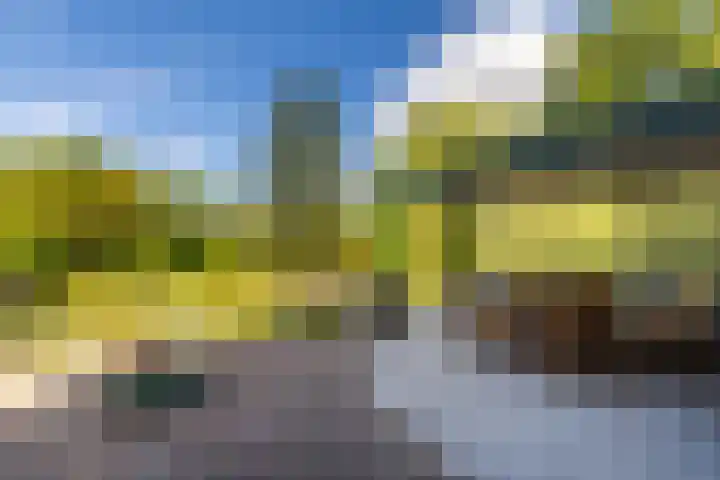 De la Marplein 31 Schiedam thumbnail 28