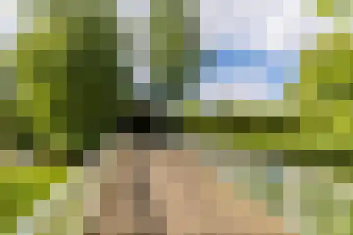 De la Marplein 31 Schiedam thumbnail 57