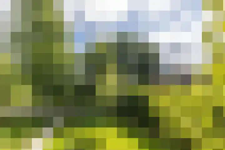 De la Marplein 31 Schiedam thumbnail 59