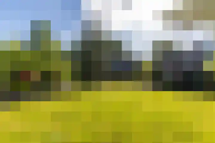 De la Marplein 31 Schiedam thumbnail 66