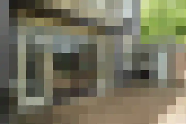 De la Reijstraat 11 Arnhem thumbnail 27