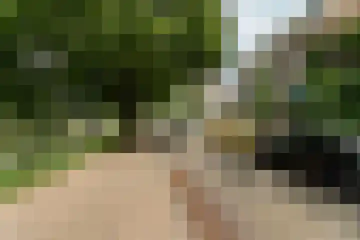 De la Reijstraat 11 Arnhem thumbnail 54