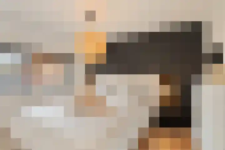 de la Reijstraat 16 Ridderkerk thumbnail 12
