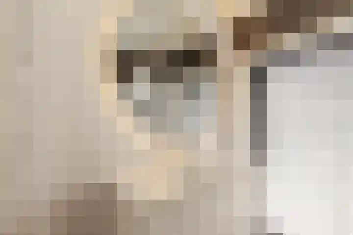 de la Reijstraat 16 Ridderkerk thumbnail 18