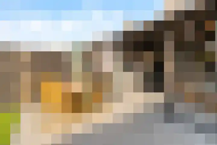 de la Reijstraat 16 Ridderkerk thumbnail 22