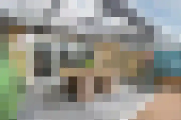 de la Reijstraat 262 Ridderkerk thumbnail 35