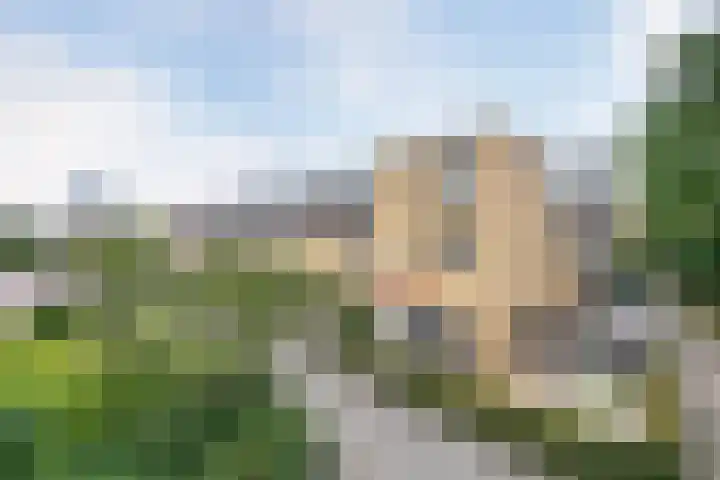 de la Reijstraat 262 Ridderkerk thumbnail 52