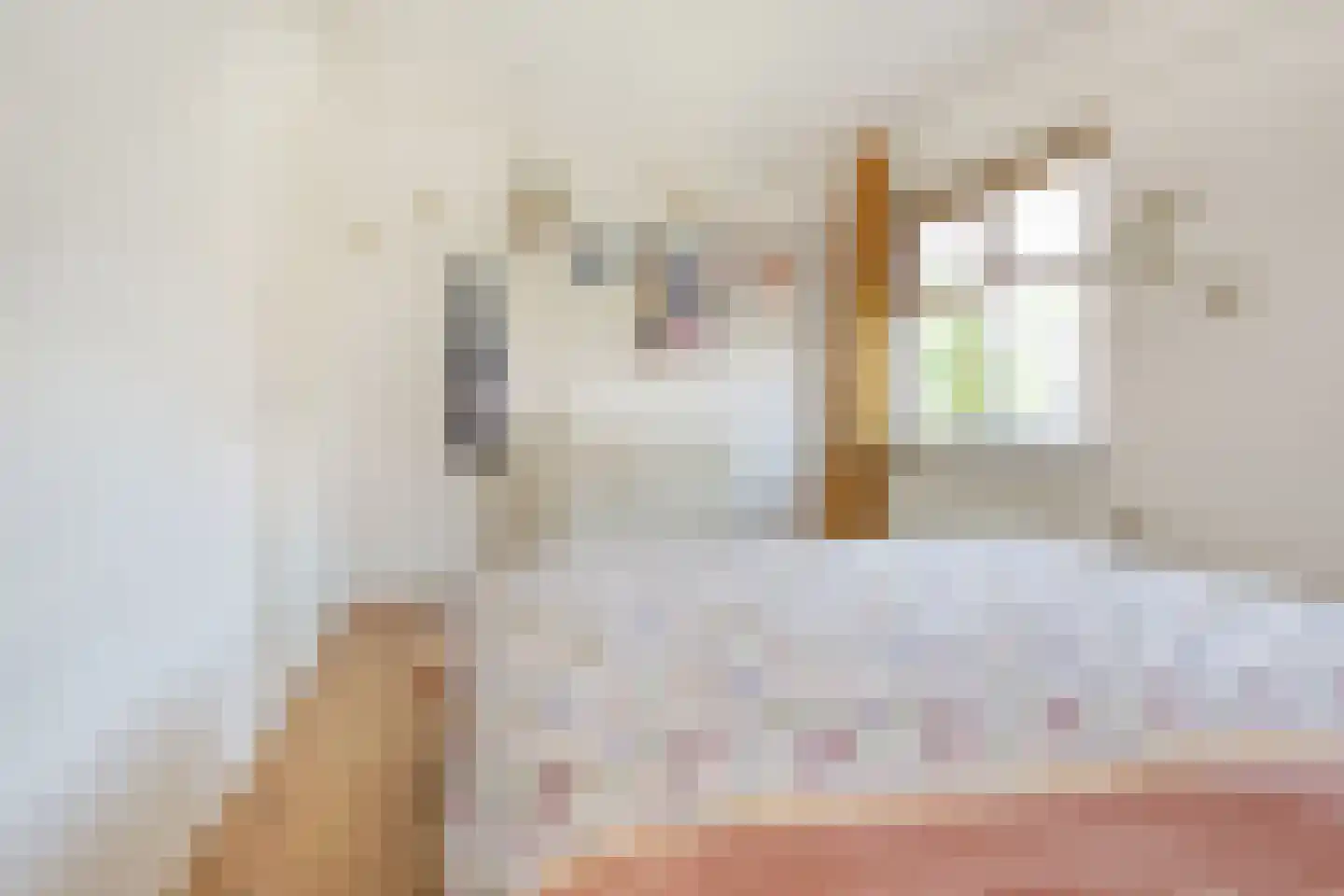De la Reijstraat 3 D Amsterdam thumbnail 15