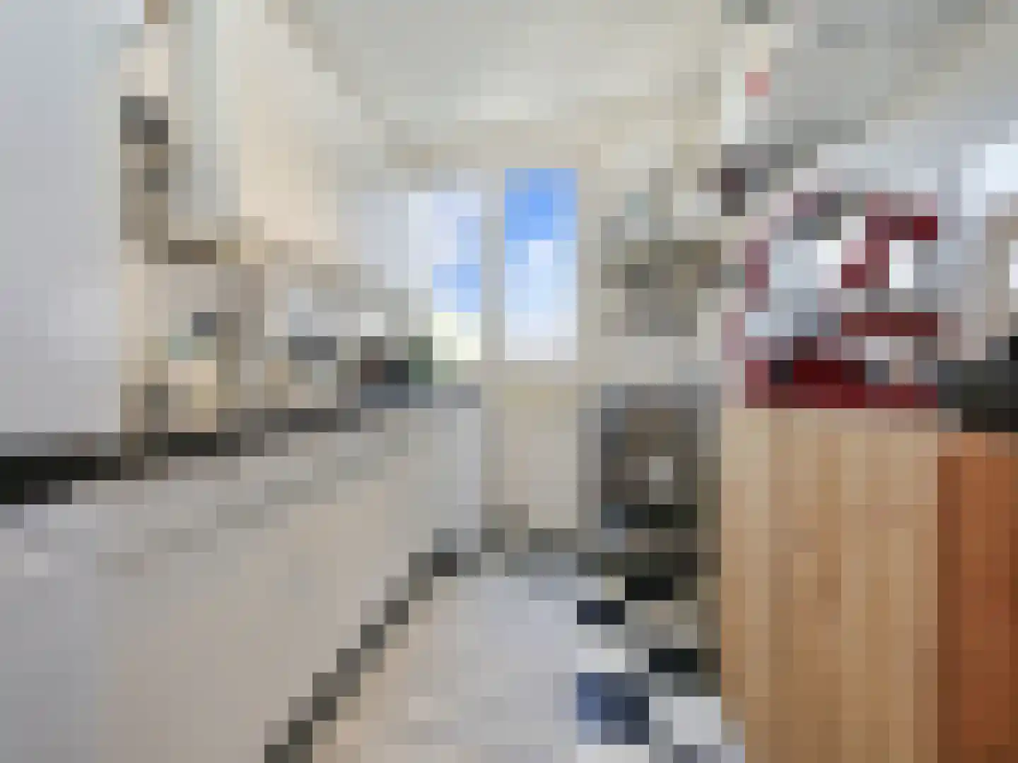 De la Reijstraat 3 D Amsterdam thumbnail 22