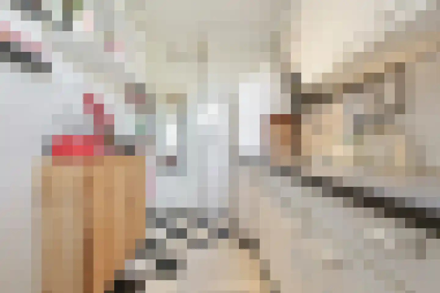 De la Reijstraat 3 D Amsterdam thumbnail 23