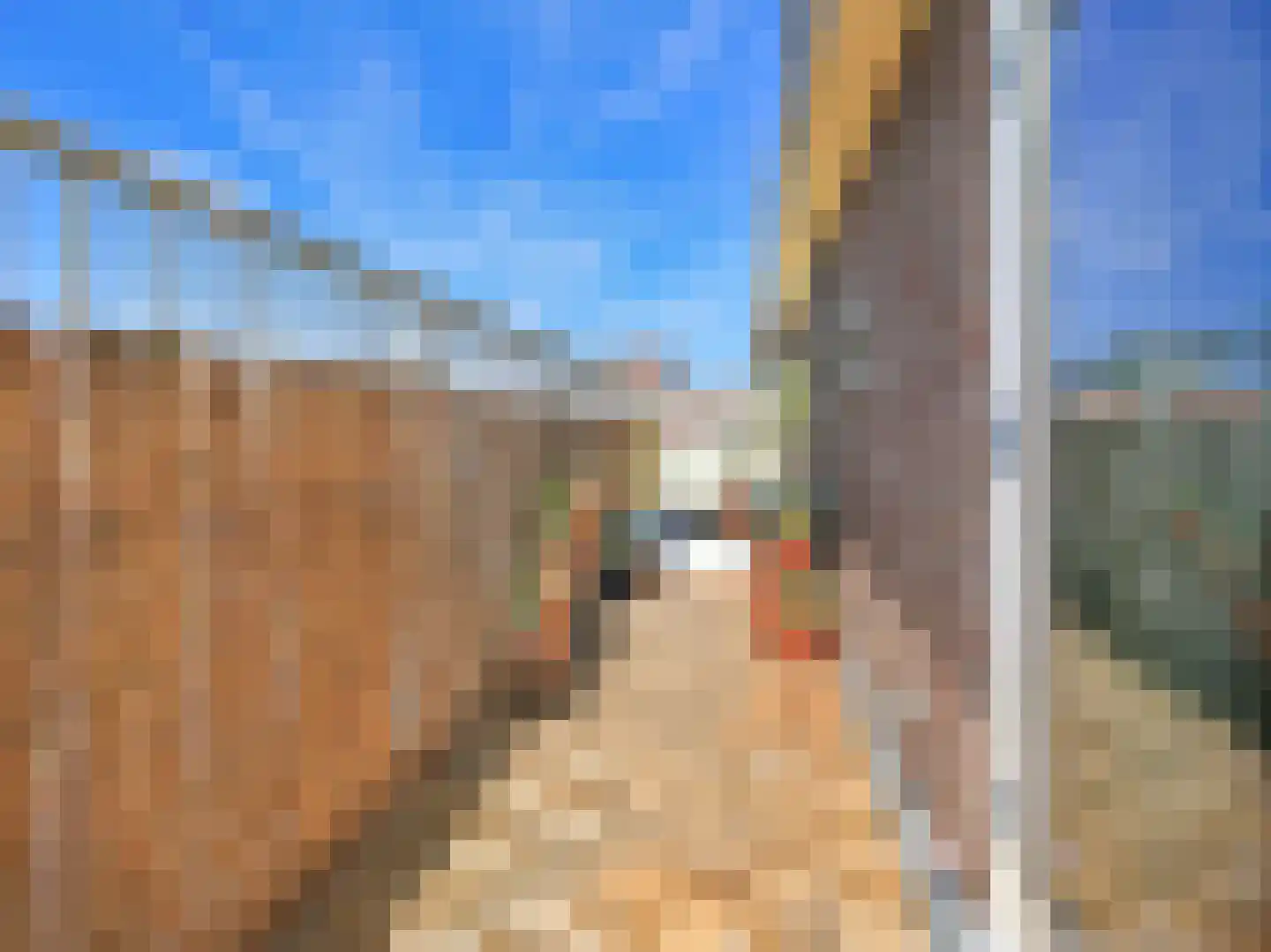 De la Reijstraat 3 D Amsterdam thumbnail 32