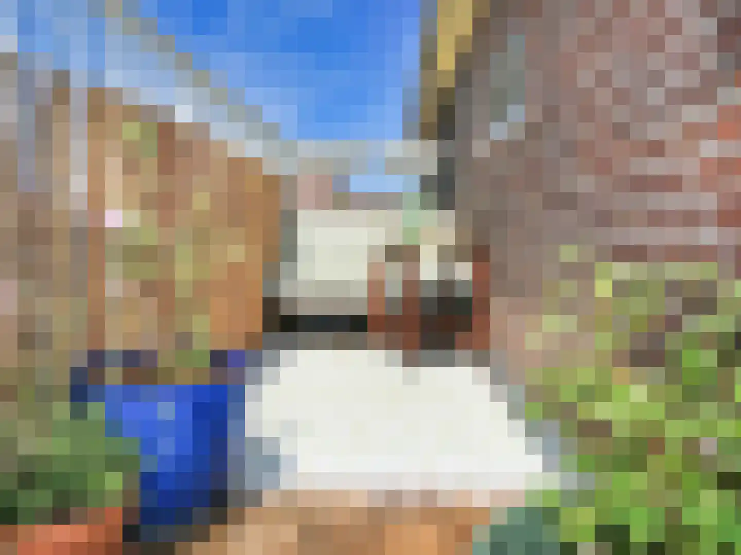 De la Reijstraat 3 D Amsterdam thumbnail 35