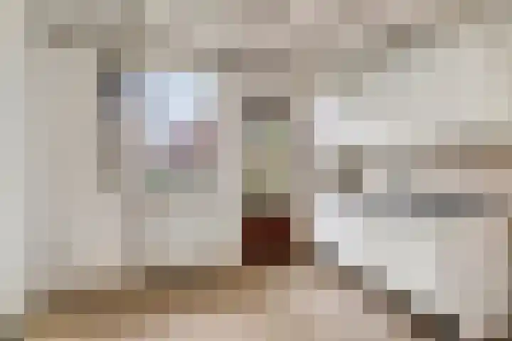 De la Reijstraat 33 B Amsterdam thumbnail 8