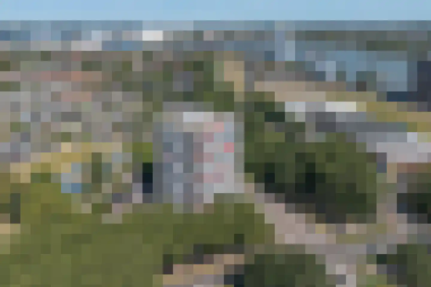 de la Reijstraat 460 Ridderkerk thumbnail 27
